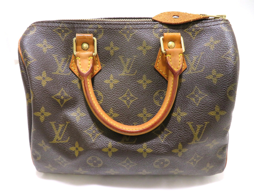 Louis Vuitton Speedy Monogram Handbag